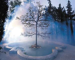 Fountain tree