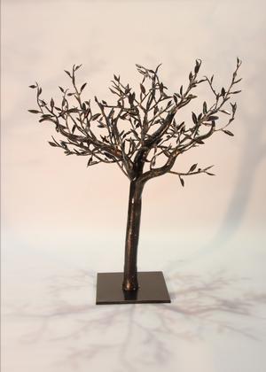 Small olive tree